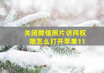 关闭微信照片访问权限怎么打开苹果11