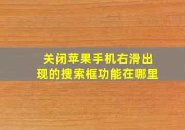 关闭苹果手机右滑出现的搜索框功能在哪里