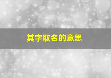 其字取名的意思