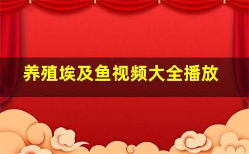 养殖埃及鱼视频大全播放