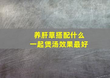 养肝草搭配什么一起煲汤效果最好