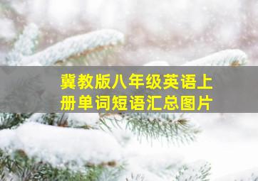 冀教版八年级英语上册单词短语汇总图片