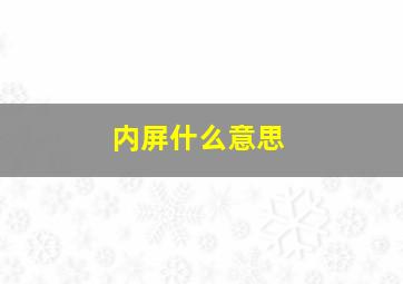 内屏什么意思