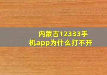 内蒙古12333手机app为什么打不开