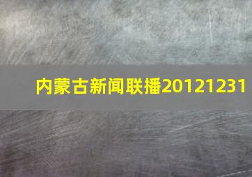 内蒙古新闻联播20121231