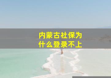 内蒙古社保为什么登录不上