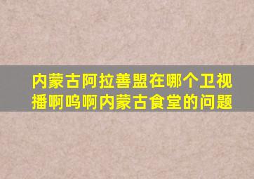 内蒙古阿拉善盟在哪个卫视播啊呜啊内蒙古食堂的问题