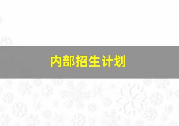 内部招生计划