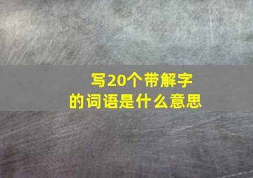 写20个带解字的词语是什么意思