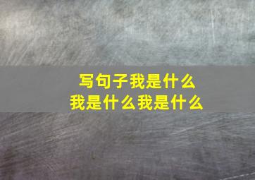 写句子我是什么我是什么我是什么