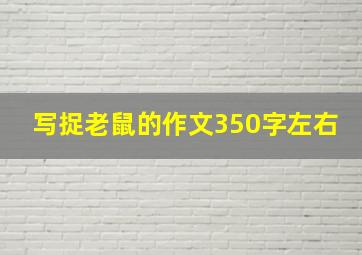 写捉老鼠的作文350字左右