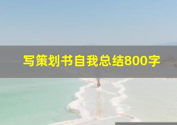 写策划书自我总结800字