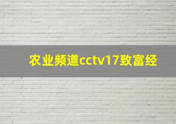 农业频道cctv17致富经