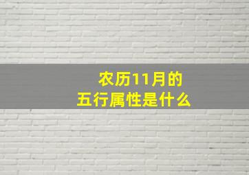 农历11月的五行属性是什么