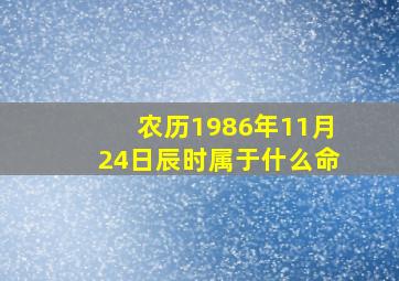 农历1986年11月24日辰时属于什么命