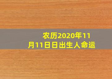 农历2020年11月11日日出生人命运