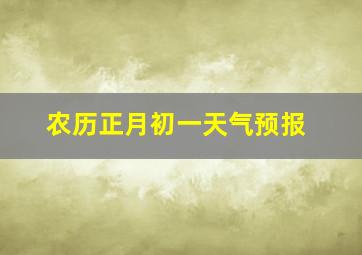 农历正月初一天气预报