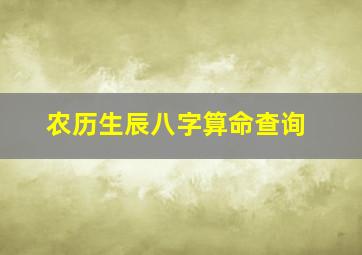 农历生辰八字算命查询