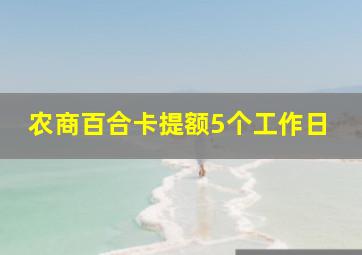 农商百合卡提额5个工作日