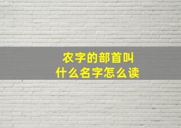 农字的部首叫什么名字怎么读