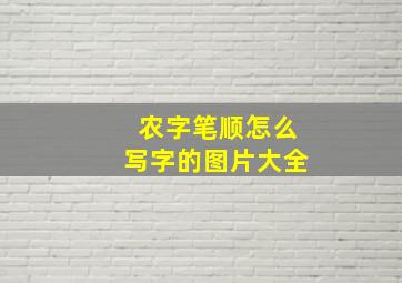 农字笔顺怎么写字的图片大全