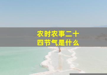 农时农事二十四节气是什么