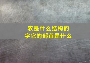 农是什么结构的字它的部首是什么