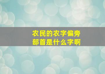 农民的农字偏旁部首是什么字啊