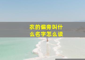 农的偏旁叫什么名字怎么读