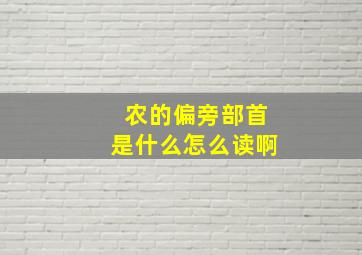 农的偏旁部首是什么怎么读啊