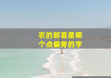 农的部首是哪个点偏旁的字