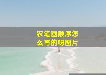 农笔画顺序怎么写的呀图片