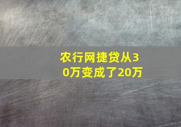 农行网捷贷从30万变成了20万