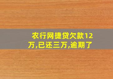 农行网捷贷欠款12万,已还三万,逾期了