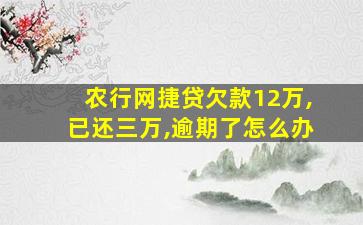 农行网捷贷欠款12万,已还三万,逾期了怎么办