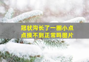 冠状沟长了一圈小点点摸不到正常吗图片