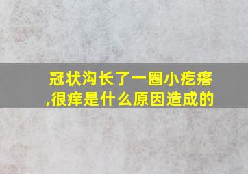 冠状沟长了一圈小疙瘩,很痒是什么原因造成的