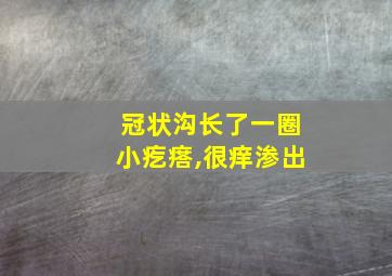 冠状沟长了一圈小疙瘩,很痒渗出