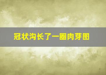 冠状沟长了一圈肉芽图