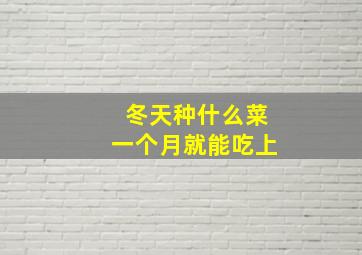 冬天种什么菜一个月就能吃上