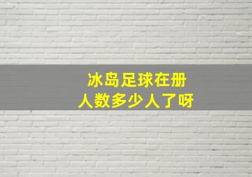 冰岛足球在册人数多少人了呀