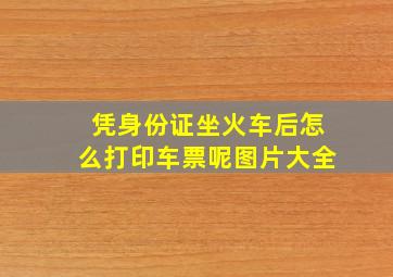 凭身份证坐火车后怎么打印车票呢图片大全