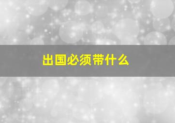 出国必须带什么