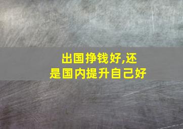 出国挣钱好,还是国内提升自己好