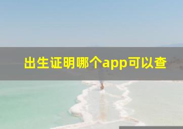 出生证明哪个app可以查