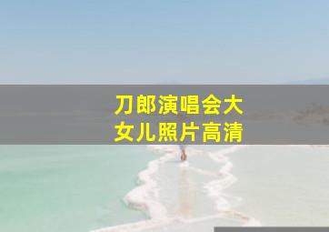 刀郎演唱会大女儿照片高清