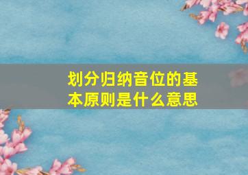 划分归纳音位的基本原则是什么意思