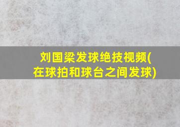 刘国梁发球绝技视频(在球拍和球台之间发球)