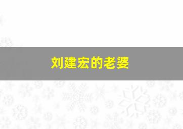 刘建宏的老婆