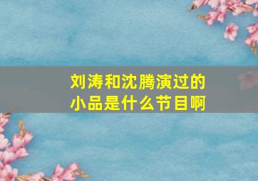 刘涛和沈腾演过的小品是什么节目啊